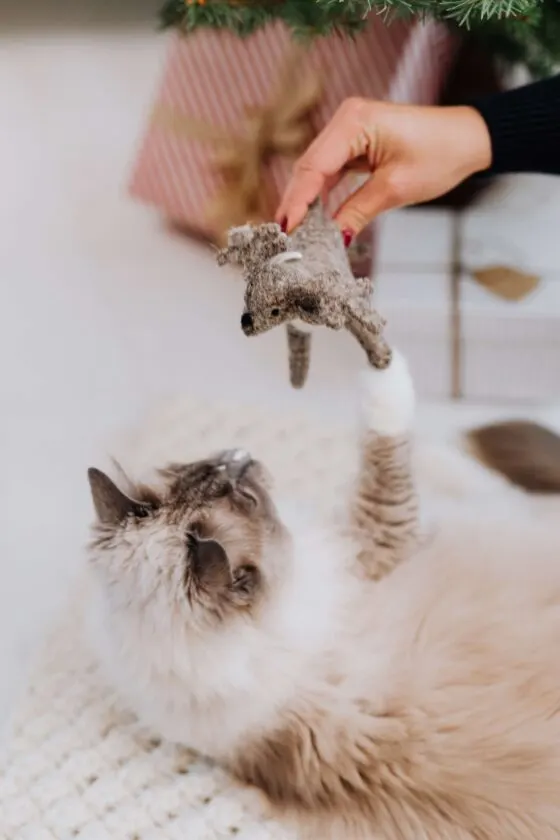 homemade cat toys your kitty will love