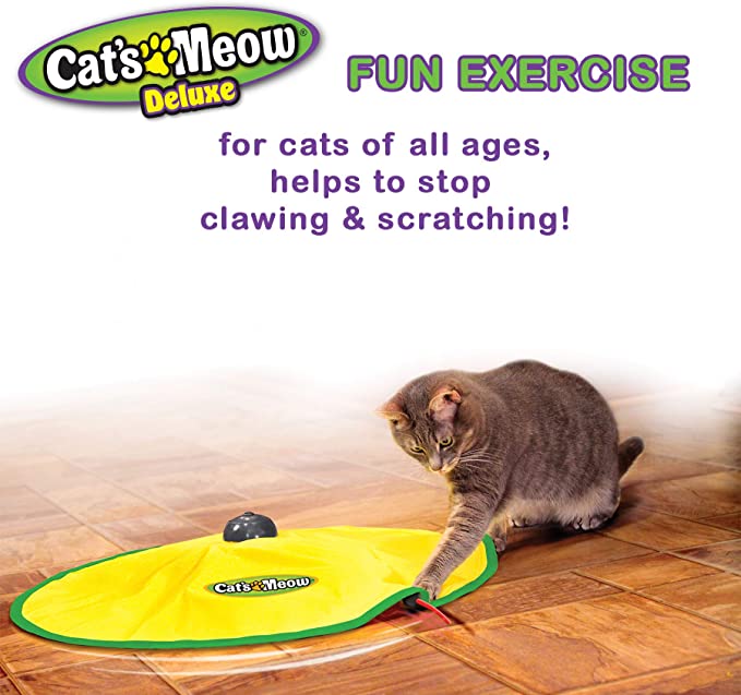 cat's mewo motorized wand cat toy 