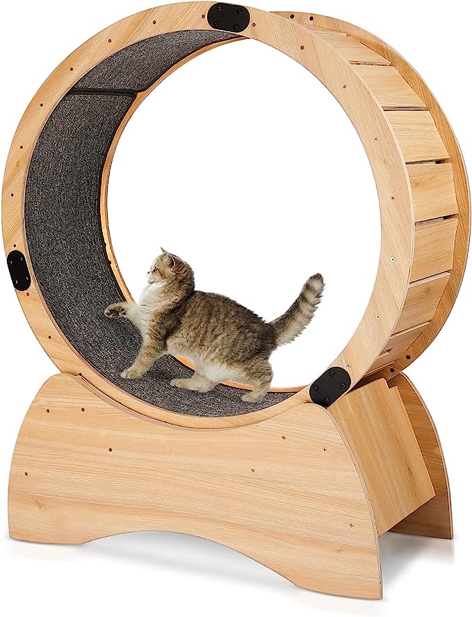 BELSAV cat exercise wheel for running and scratching