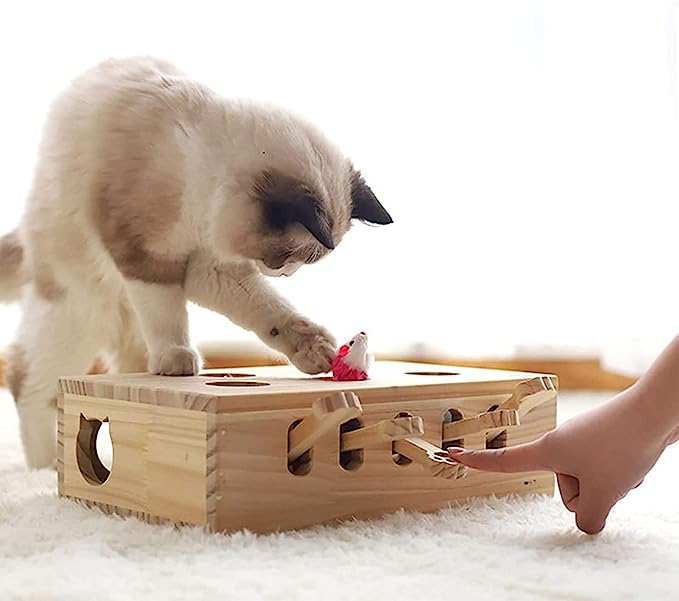 whack a mole cat toy for small cats