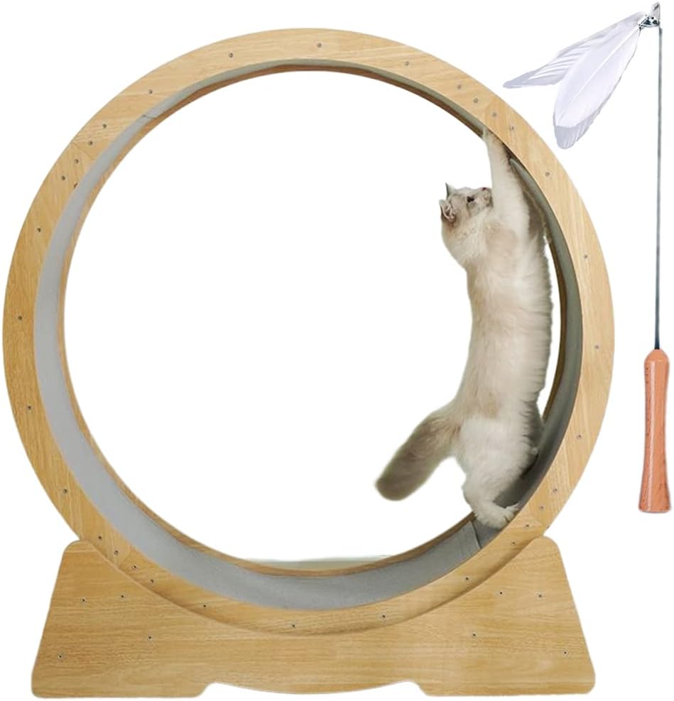 Cat Exercise Wheel, Cat Wheel Sports Device for Indoor Cat with Carpet Runway