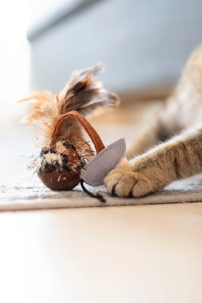 a lazy cat playing with a feather toy