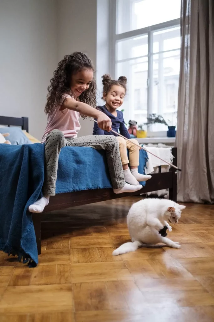 kids playing with a cat using cat wand toy