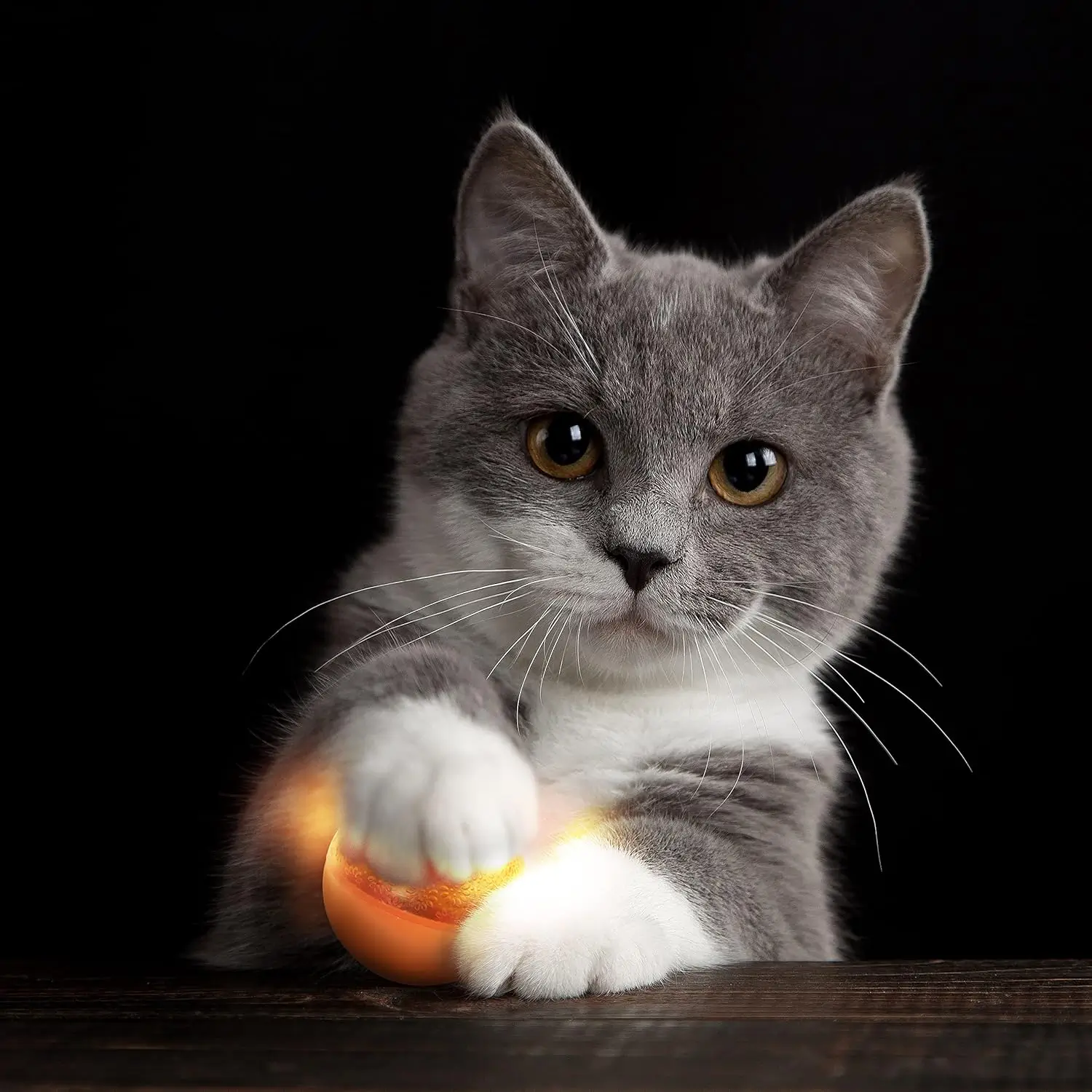 The Best Cat Toys for Nighttime Play